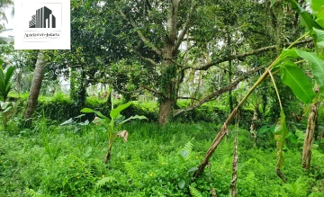 Tanah/Kavling Dijual di Gianyar Land in Ubud Taro in tourism area