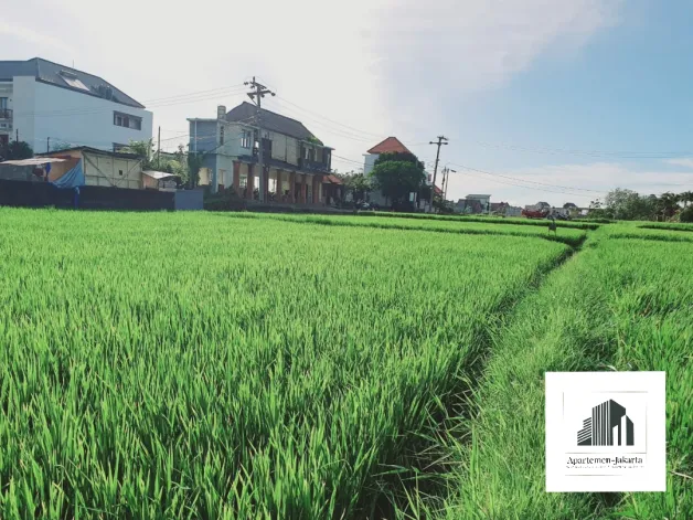 Tanah/Kavling Disewa Tourism zone Cemagi land 1 watermark_1673446923706
