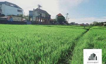 Tanah/Kavling Disewa di  Tourism zone Cemagi land