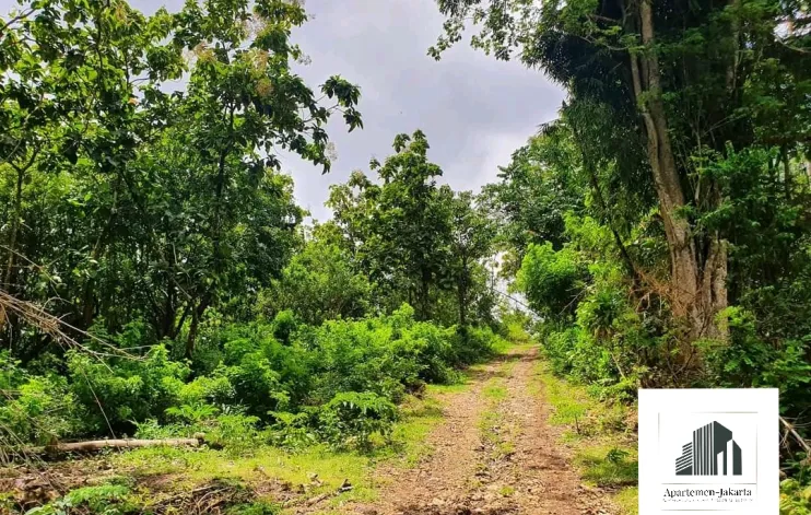 Tanah di lokasi yang indah Pecatu Bali 1