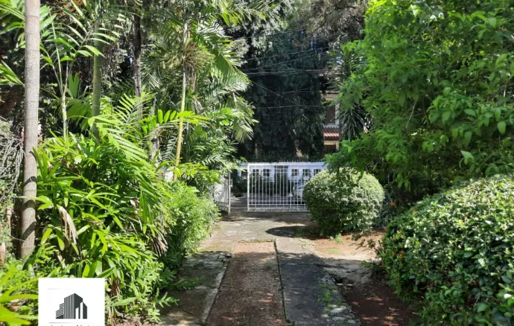 Rumah Tua Kokoh Dan Asri Di Menteng 3