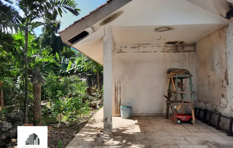 Rumah Tua Kokoh Dan Asri Di Menteng 13