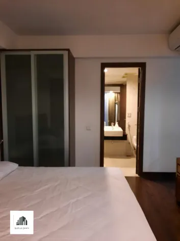 Apartemen Disewa Apartemen 2 BR Pet friendly Kemang Village 7 watermark_1715855064904
