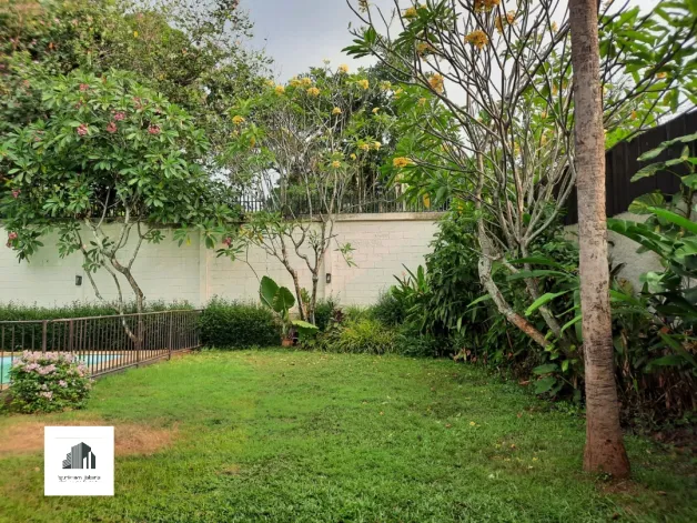 Rumah Disewa Rumah 4 Kamar Di Pejaten Jakarta Selatan 15 watermark_1717053561528