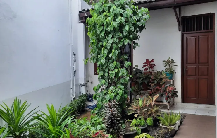 Rumah Nayaman Terawat Poltangan Raya Jaksel 9