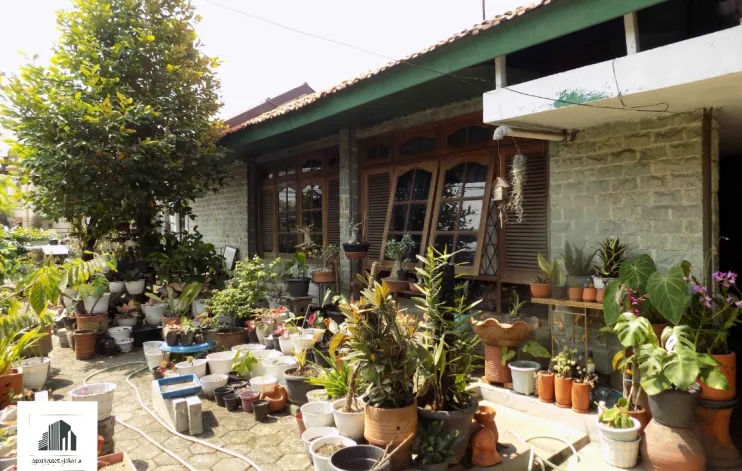 Best Price Old House At Jati Padang South Jakarta 3