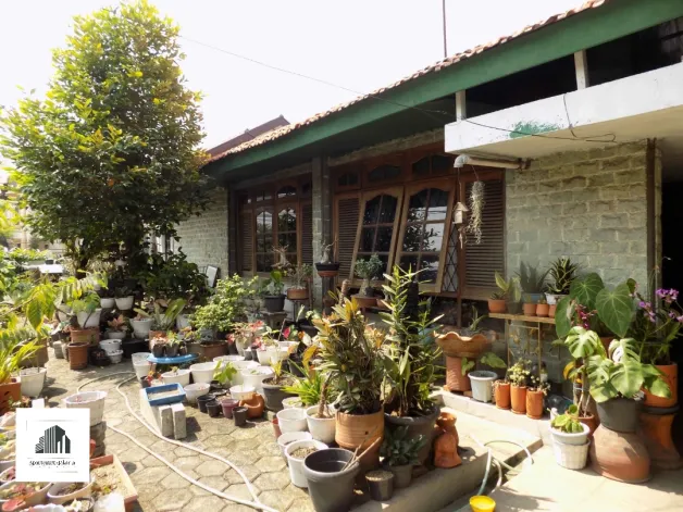Rumah Dijual Best Price Old House At Jati Padang South Jakarta 3 watermark_1744178606671